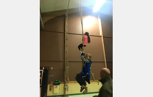 5be60c6c61fe2_photo.jpg